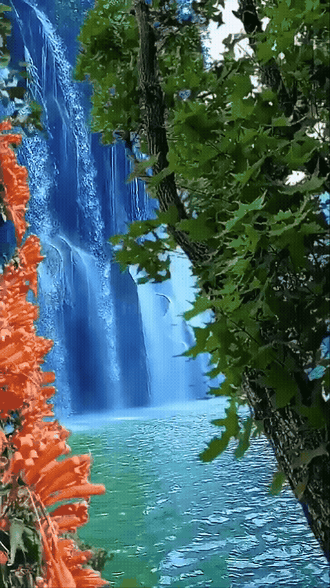 Modern Healthcare Facility